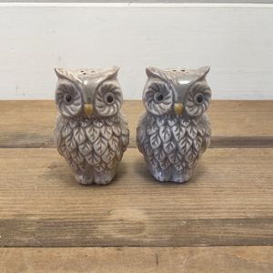 Ceramic Owl Salt and Pepper Shakers